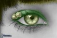 /album/lips-eyes-/obrazky-4ever-sk-oko-9573730-jpg/